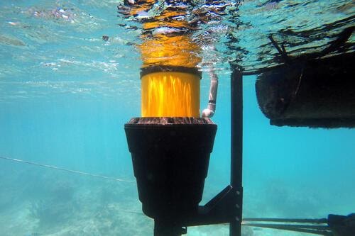 მდგრადი ინოვაცია